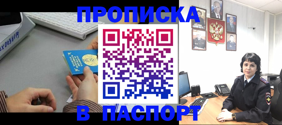 прописка в Каргополе